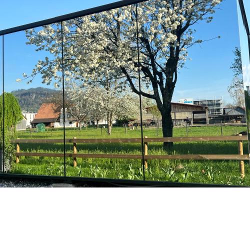 Natur Pur & Erlebnisurlaub im Spiegelhaus ÖÖD
