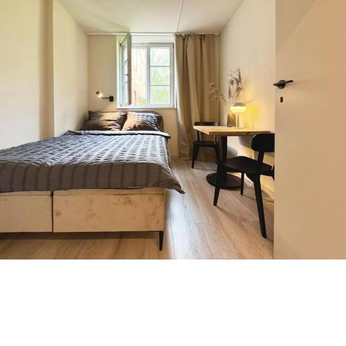 Natural apartment in the City Center - Old Town