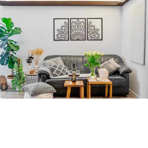 Natural-Style Apartment in The Centre of Bratislava