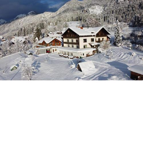 Naturgut Gailtal