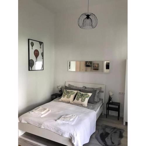 Near City park only 5 minutes walk , where you can find the world famous Szechenyi thermal bath spa, Capital Circus , Museums The apartment is modern and newly renovated ,in a quiet and peaceful green Oasis with AC ,smart TV, high speed internet