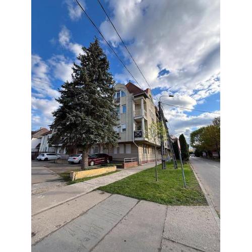 NELFAN Apartman