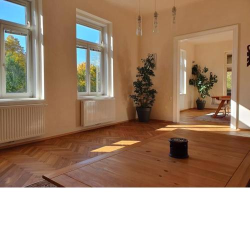Neu renovierte Altbauwohnung im Herzen von Steyr 100qm