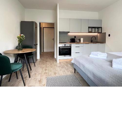 New cozy studio, free private parking