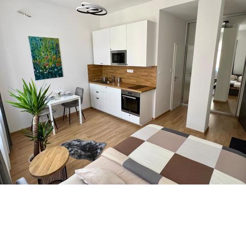 New cozy studio in Old Town
