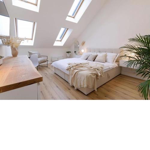 New luxury main square apartment