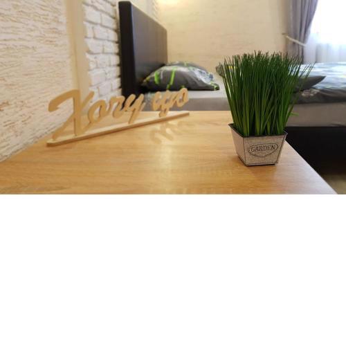 NEW Luxury Studio Apartment