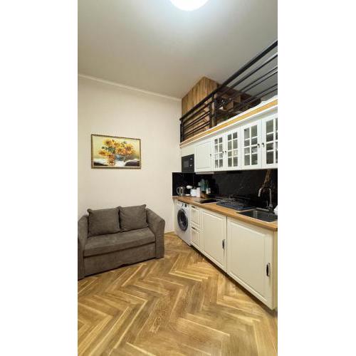 Newly renovated apartment in Wenceslas square