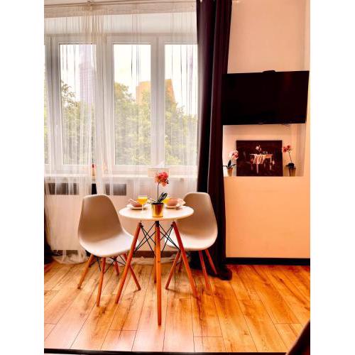 Nice 1Room Condo WarszawaCenter