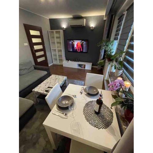 Nice and quiet apartment