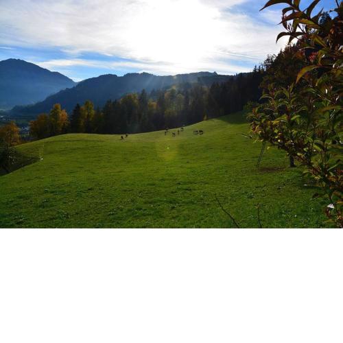 Niederstallnhof