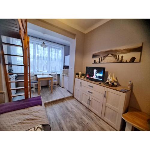Niezależny apartament przy Parku Zdrojowym 667-666-609