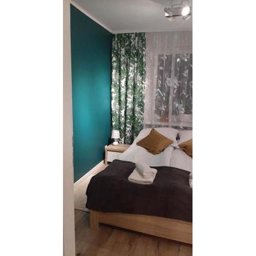Niezapominajka przy Krupówkach APARTZAKOP
