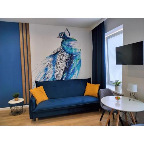 Noclegi Duet House Green Harmony Studio wejście na kod CENTRUM Ptak, Orientarium, Mandoria, Fala, Centrum Zdrowia Matki Polki, bezpłatny parking, klimatyzacja