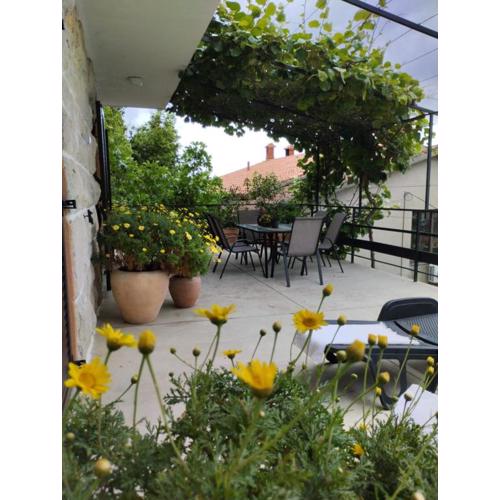 Nonna Laura Adriatic dream apartment with sea view