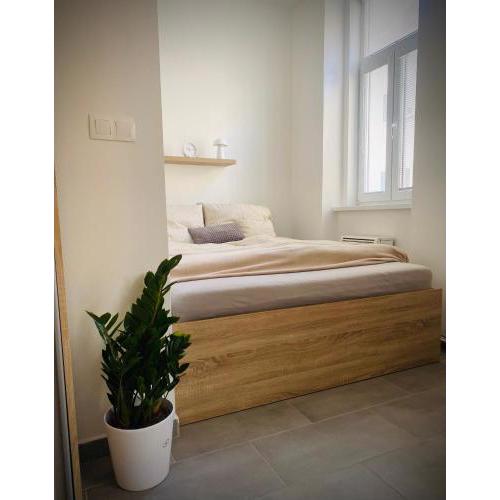 Nový moderný apartmán SAPEX v centre mesta