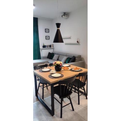 Nowoczesny apartament z widokiem na park