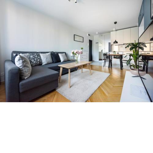 Nowogrodzka Grey Apartment