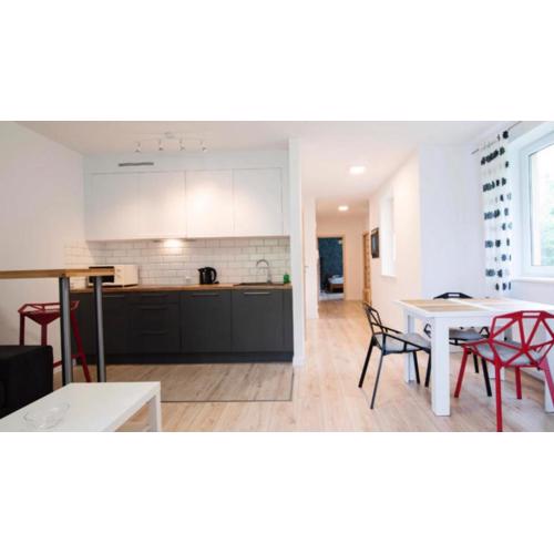Nowy dwupokojowy apartament idealny na narty