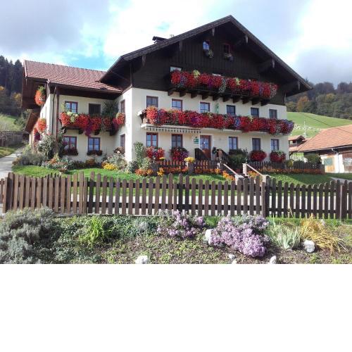 Nussbaumer am Irrsee