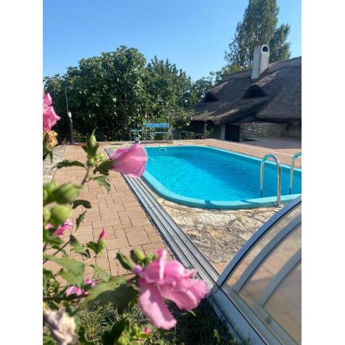 Nyuszifülház Ferienhaus im Weinberg mit Pool