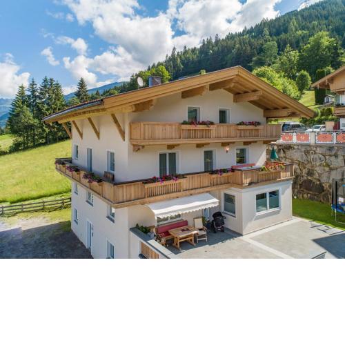 Obersteiner 1