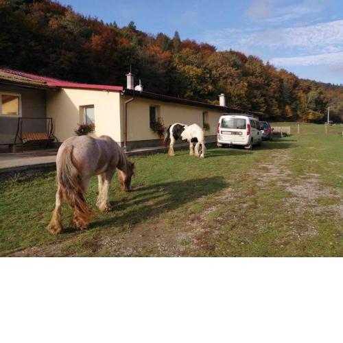 Oddychový pobyt na rodinnej farme