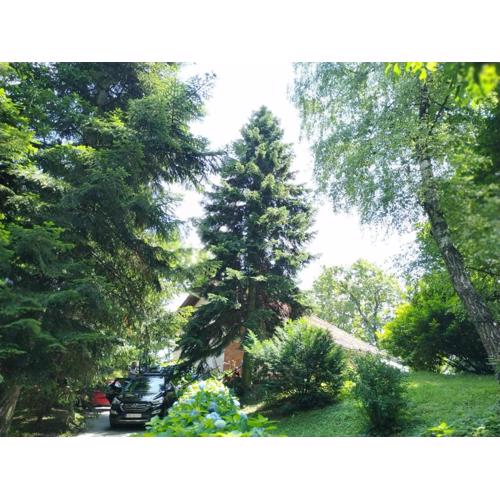 Old Chestnut Vacation Home