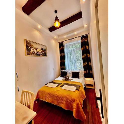 Old Cracow Apartment