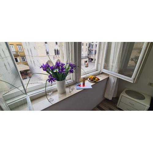 Old Square view apartment