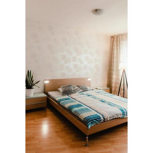 Old Town Apartment Pellicova
