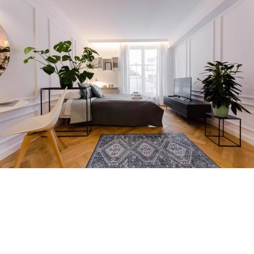 Old Town Premium Queen`s Apartments