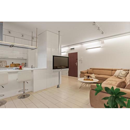 Old Town Warta Apartment