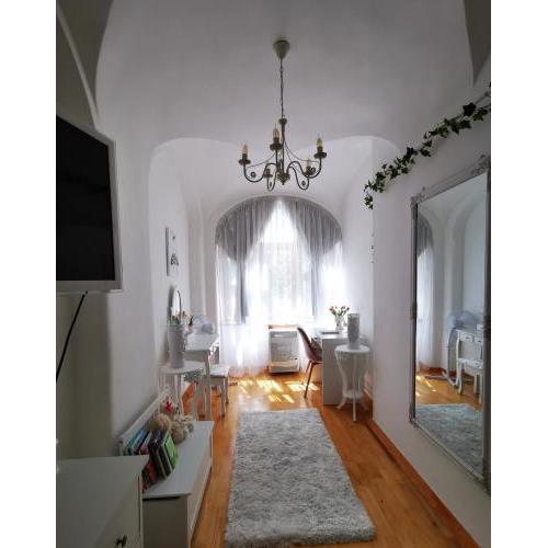 Oldtown Shelter Apartment with free private parking