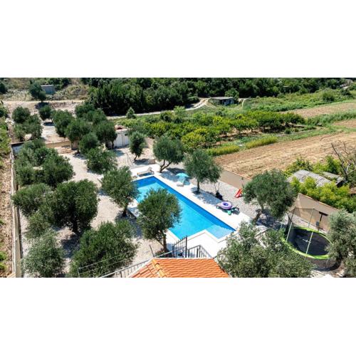 Olive Grove House