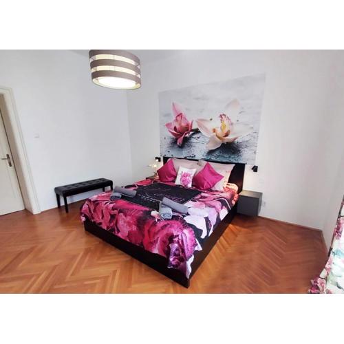 Orchidea Apartment Split in the Centre