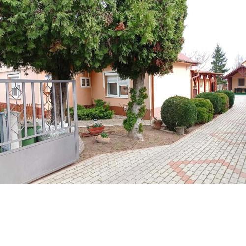 Örökzöld apartman