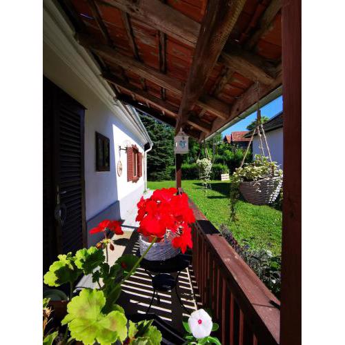 Őrség Kincse Kis Apartman - 4 főre