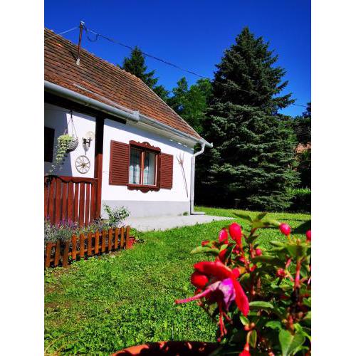 Őrség Kincse Nagy Apartman - 6 főre