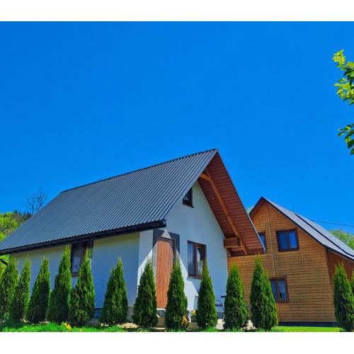 Ostoja Bieszczady Domek Całoroczny