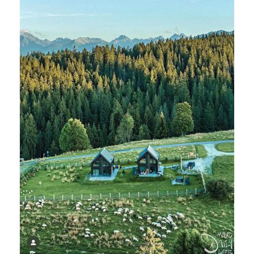 Owczarnia Tatry