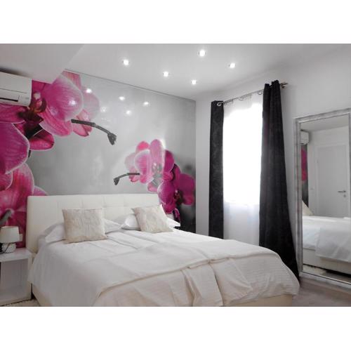 Palladium City Center Apartments