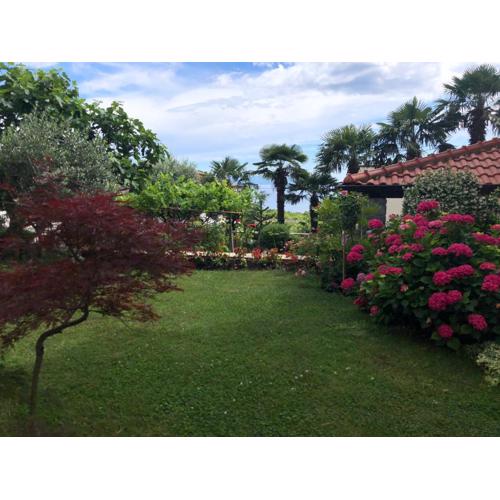 Palm Garden Apartment