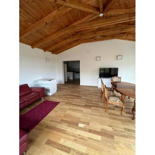 Pannonia Appartements