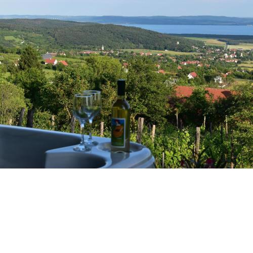 Panoráma Borbirtok