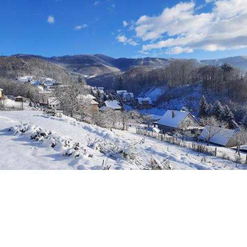 Panorama View