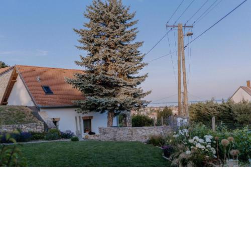 Panorama Vine House