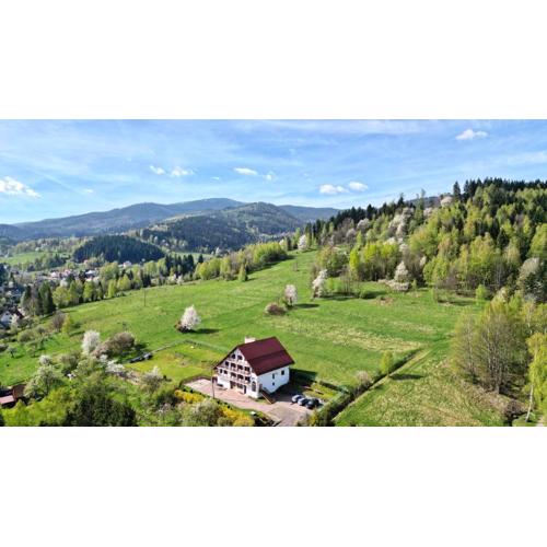 Panorama