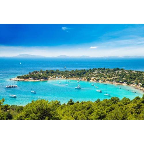 Paradise kosirina