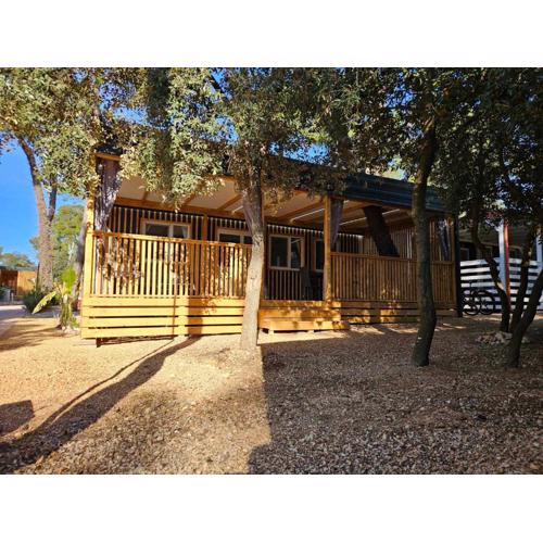 Paradiso mobile home